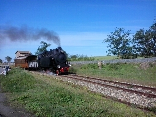 stefania_loddo's profile picture. 