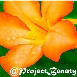 We believe that everyone is beautiful.