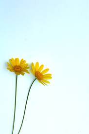 final2_0507's profile picture. 끌리는 저녁이예요