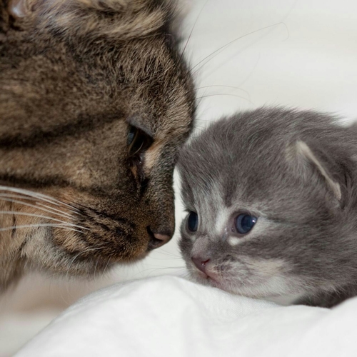 KN9620's profile picture. 桐一二年。野球。埼玉。知ってる人、知らない人誰でもどなたでも、フォロー待ってます！！！