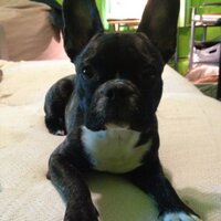David Bowen (@tuesdaydave) 's Twitter Profile