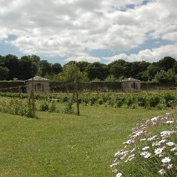 The walled garden on the National Trust Estate, Stackpole cultivated by adults with learning disabilities. Home grown fruit, vegetables and plants available.