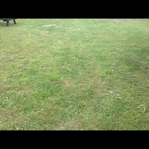 AmarAmarmbaye's profile picture. 