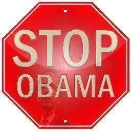 2014 is our last chance to change Congress and finally limit Barack Obama's power. A project of American Liberty PAC