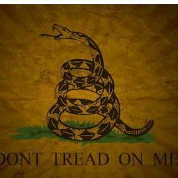 TeaParty2013's profile picture. We are part of the Tea Party Movement. We are not hate mongers. We are not racists. We are hard working Americans.