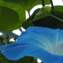 Beth Reiter - @BethReiter1 - Twitter