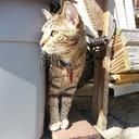 Kate Manna - @DamnItKateManna - Twitter