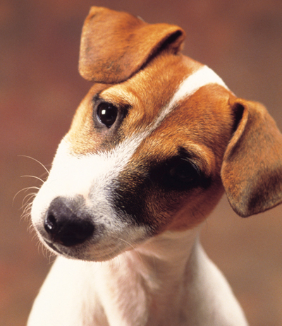 gfmuller's profile picture. 