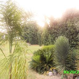 salagado2000's profile picture. Transfer Secretary saved by His grace