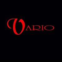 Vario Shoes (@varioshoestr) Twitter profile photo