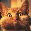 jack ekholm - @jaxz1134 - Twitter