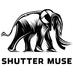 Shutter Muse (@shuttermuse) Twitter profile photo Shutter Muse (@shuttermuse) Twitter profile photo