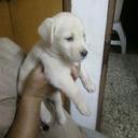 Ismael Garay - @ismega678 - Twitter