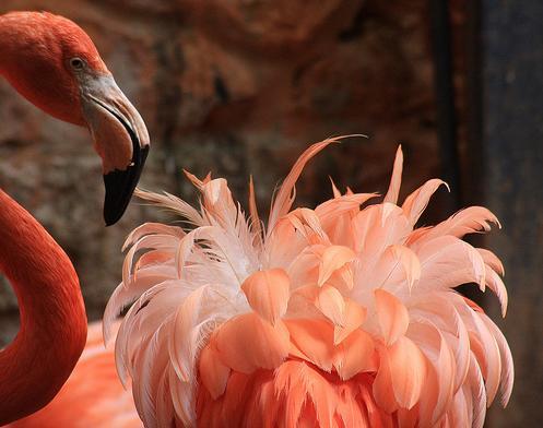 ChickwithFry's profile picture. I believe in NCMO, loathe DTR, and have varying opinions on other acronyms.