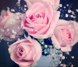 5yal_Al3shg's profile picture. أنــ'ـــآ حيث أنآا لآ أحرررف ولآ عبآرآت قآدرة علــﮮ سررردي فـ أنآ أسطورة )~ ღ غير قآبلة للسرررد UAEU- Medical student ღ