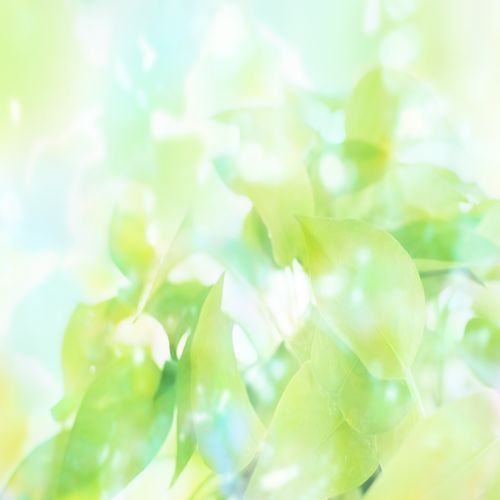 LulaSmith8's profile picture. Loves dogs.Lula Smith