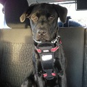 Remington Lee - @RemingtonLee22 - Twitter