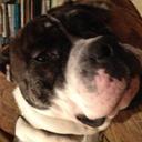 William Kranz - @Willcommerce - Twitter