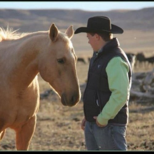 HandyTy's profile picture. 