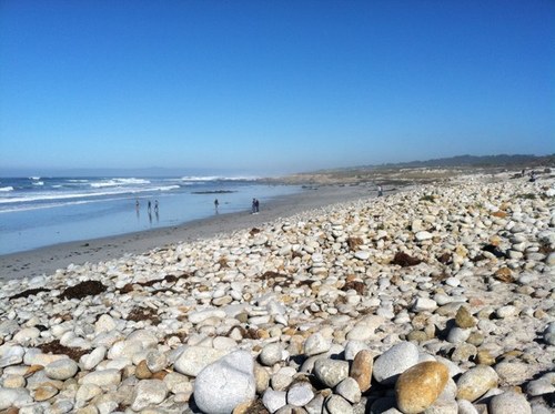 rinconestrada's profile picture. Freelance musician, composer