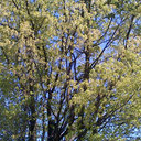 Mark Teeter - @MarkTeeter1 - Twitter