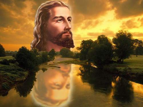 mauriciotimbet's profile picture. 