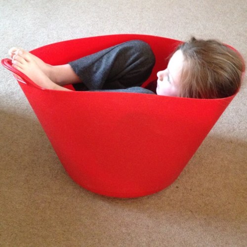 elaine_IDSystem's profile picture. 