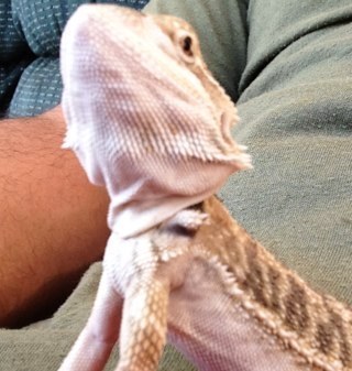 atska7's profile picture. 