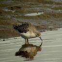 Fran oconnell - @frnsoconnell - Twitter