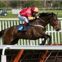 Group1racing (@group1racing) Twitter profile photo