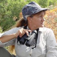 Janette Wallis (@janettewallis) 's Twitter Profile Photo