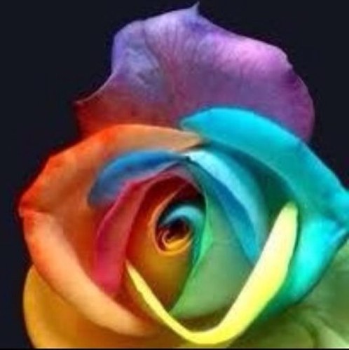 Jojo306Jojo's profile picture. گلَ دقَيقَہ . . مَنْ عّمَرْنـَا . . آنَفْاسّ لآ تّعَودْ . . فلَتگنْ لأنفْاسَگ . .حّـَلاۈة الإستغفـَآرْ .