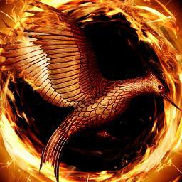 MahoganyGB's profile picture. Follow for all the latest on the hunger games: news, pictures, videos and more!