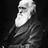 DarwinClass's profile image