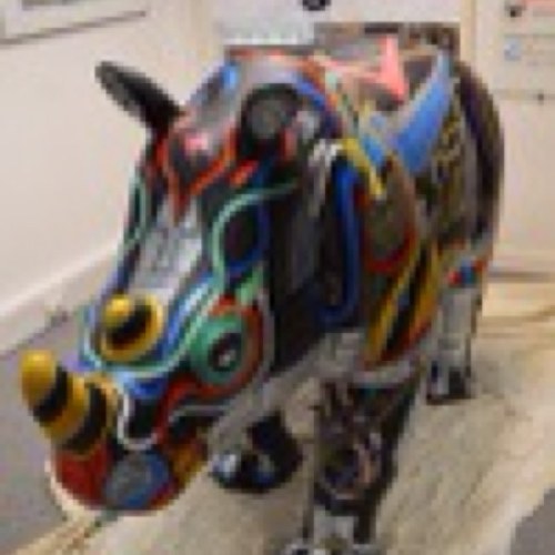 Hi, I'm Erica. I'm a cyber rhino, digitized by ECS @unisouthampton, as part of @GoRhinos2013! Follow me for progress updates and D.I.Y tech!