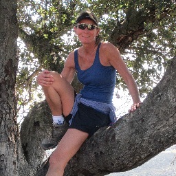 JBeau61's profile picture. 