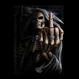 follow back