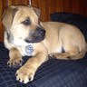 twobrews82's profile picture.