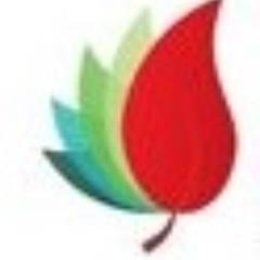 Cursos, talleres, capacitación y herramientas para impulsar el talento y el emprendimiento en México.