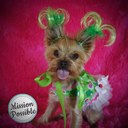 Sonia Vázquez - @SoniaVzquez1968 - Twitter