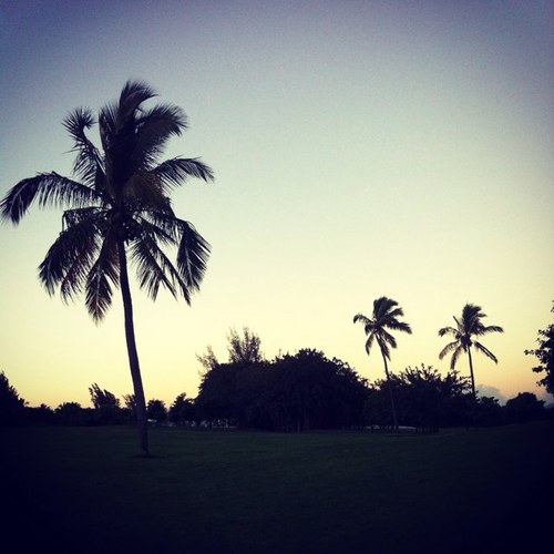#Mauritius