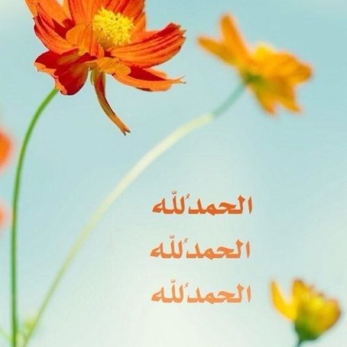: ربيّ إجعل ؛ (  أبي ) يستوطن  جنتگك گما اسّتوطن ..أعماقَ فؤاديّ ♡