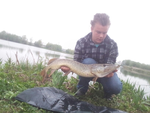 Dodewaard