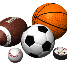 Dedicated to the sports fan in all of us.