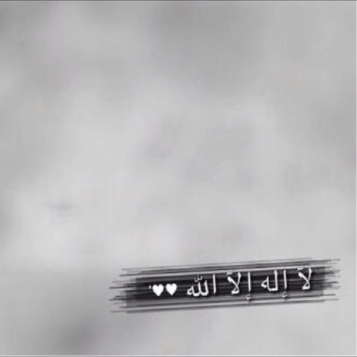 AL_123_123's profile picture. 