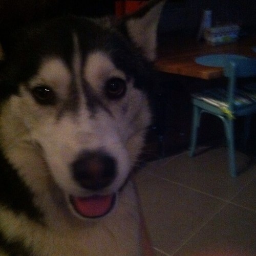 jeanlouis2000's profile picture. 