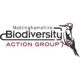 Nottinghamshire Biodiversity Action Group - working in partnership to conserve and enhance the wildlife of Nottinghamshire https://t.co/TT1yUuSkX2