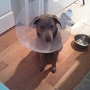 Holly Drum - @HollyDrum - Twitter