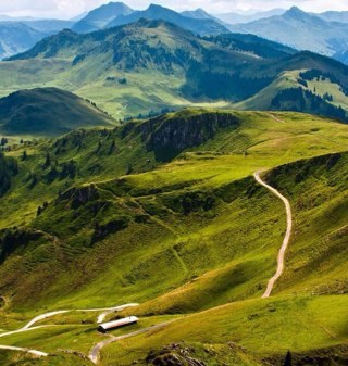 scarfe_phil's profile picture. 