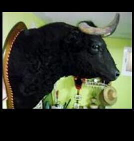 EncierroVillafr's profile picture. 